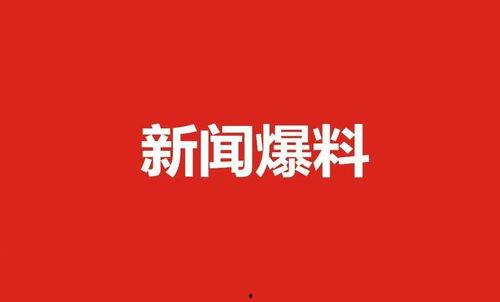 肇东最新爆料新闻视频播放,视频揭秘惊人真相，引发社会热议