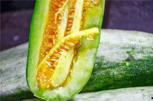 吃千万网红的瓜,揭秘千万网红背后的惊人瓜料 第3张 吃千万网红的瓜,揭秘千万网红背后的惊人瓜料 第3张