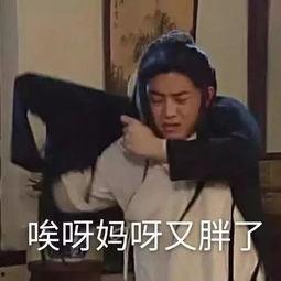 一秋妈最新消息爆料,揭秘娱乐圈最新动态