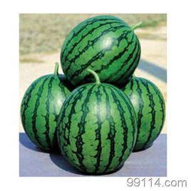 西瓜爆料泰蜜的视频大全,泰蜜视频大全精彩瞬间大盘点